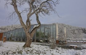 Orangerie im Winter, © Gut Guntrams