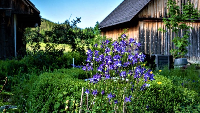 Garten, © Gluschitz-Goebel