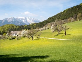 Gutenmann, © Wiener Alpen in Niederösterreich