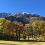 Goldener Herbst, © Angelika Burger