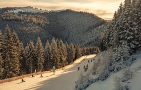 Naturrodelbahn am Semmering, © Semmering Hirschenkogel Bergbahnen GmbH