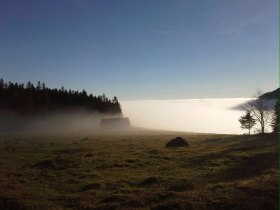 Die Talleitn im Morgennebel, © Wiener Alpen in Niederösterreich - Schneeberg Hohe Wand