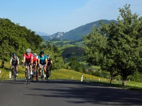 Roadbike Wirtshauskult(o)ur – RadGenuss in NÖ, © Wolfgang Wutzl