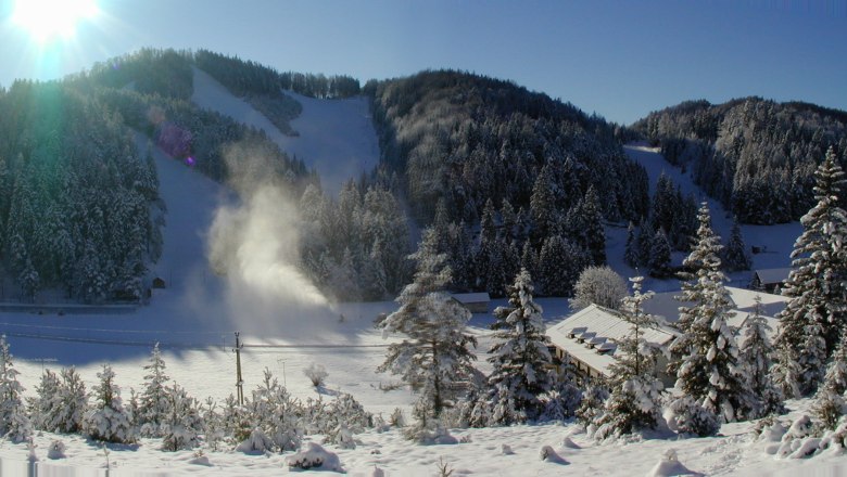 Direkt im Schigebiet von Rohr am Gebirge, © Gasthof Furtner