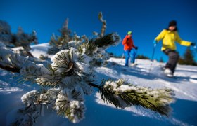 Schneeschuhwandern, © ©Wiener Alpen, Foto: Claudia Ziegler