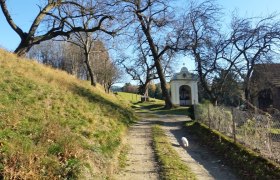 Kapelle Schafferhof in Edlitz | Bucklige Welt, © Wiener Alpen in Niederösterreich - Bad Schönau