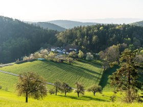 Gutenmann, © Wiener Alpen in Niederösterreich