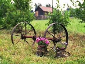 Gartenblicke,... (Copyright: Karl Gradwohl), © Wiener Alpen in Niederösterreich - Bad Schönau