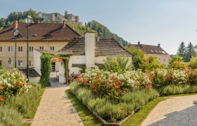 Duftrosengarten Kirchschlag, © Im Auftrag von Newman&amp; Co fotografie&amp; bildkonzept KG