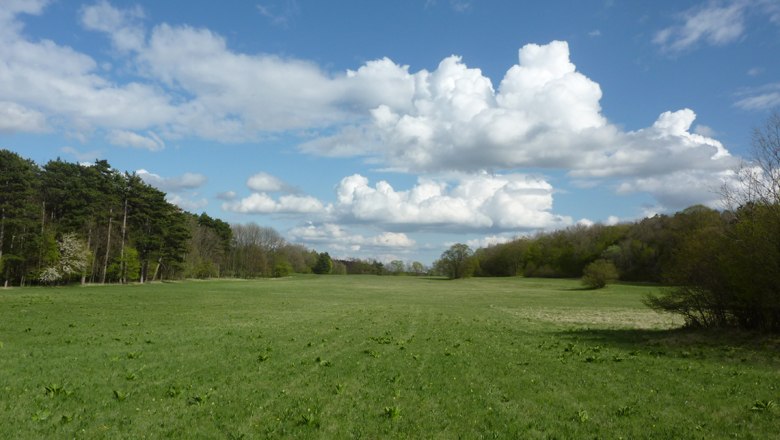 Hochfläche mit eisenzeitlicher Siedlung auf der Malleiten, © Susanne Klemm