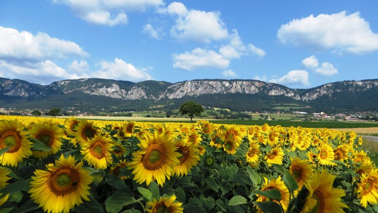 Hohe Wand Naturpark, © Naturpark Hohe Wand