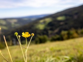 Erlebnisalm Mönichkirchen, © Wiener Alpen in Niederösterreich - Wechsel