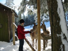 Winter Naturpark Hohe Wand, © ©Naturpark Hohe Wand