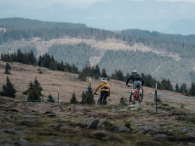 Hochwechsel Gipfeltour über die Vorauer Schwaig | Tourentipp der Wexl Trails in St. Corona am Wechsel, © Wexl Trails