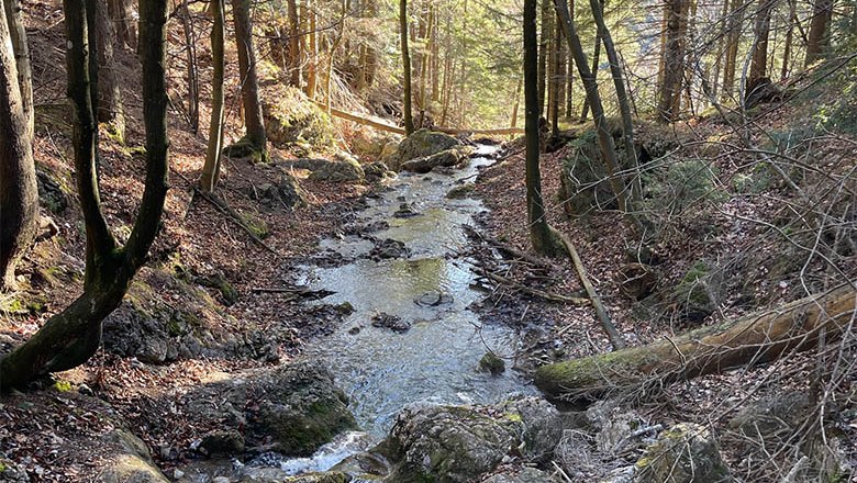 Wasserfall Wanderweg, © Angelika Burger