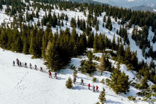 Einzigartige Naturkulisse am Raxplateau, © Wiener Alpen/Kremsl