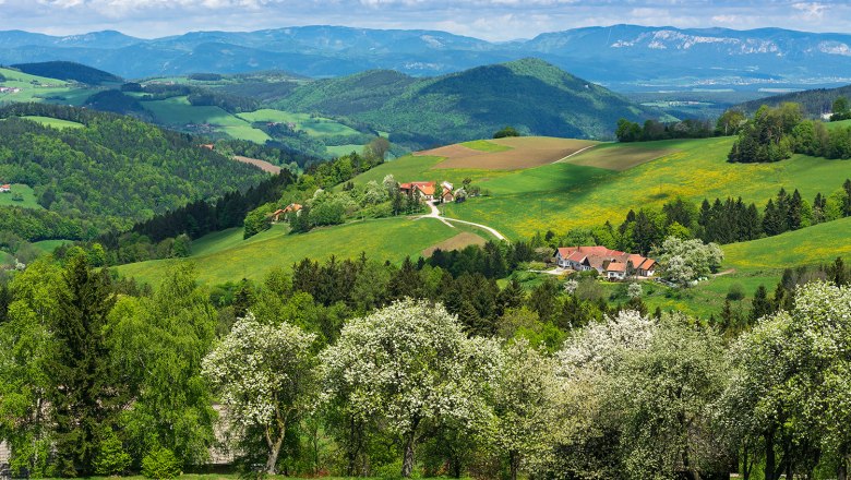 Thomasberger Frühling, © Wiener Alpen/Walter Strobl, audivision.at