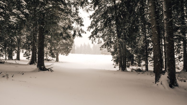 Winterwandern im Wechselland, © NÖW Tereza Bokrová