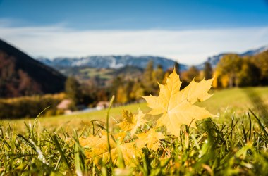 Herbst in den Wiener Alpen , © Wiener Alpen/Kremsl