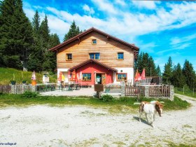 Kampsteiner Schwaig (Copyright: Kampsteiner Schwaig, Foto Otto Pfleger), © Wiener Alpen in Niederösterreich