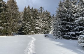 Schneeschuhwandern auf der Hohen Wand, © Outdoordynamik