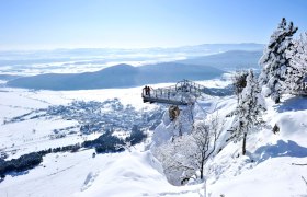 Skywalk Hohe Wand mit Weitblick, © Wiener Alpen in Niederösterreich - Schneeberg Hohe Wand