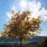 Natur ladet zum Fotoshooting ein, © Reep