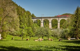 Semmeringbahn, © Niederösterreich-Werbung/Michael Liebert