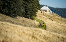 Feistritzer Schwaig Route by Wexl Trails #10, © Wexl Trails