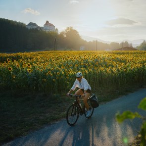 Feistritztal-Radweg, © Wiener Alpen/Philipp Schönauer