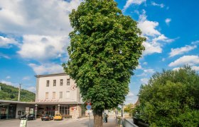 Bewegungsarena Gloggnitz Runde G3, © Hartl Hannes