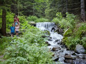 Themenweg Wildwasser in Mariensee, © Wiener Alpen/ Florian Lierzer