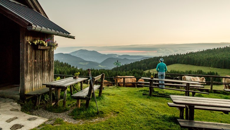 Den Ausblick von der Schwaig genießen, © Niederösterreich-Werbung, Robert Herbst