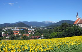 Ternitz, © Stadtgemeinde Ternitz