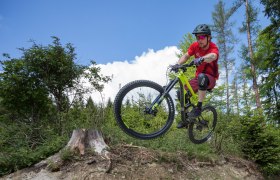 Wexl Trails: Mountainbiken am Wechsel, © Wexl Trails/Christian Kremsl