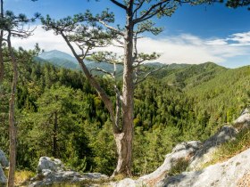 Magdalenengrotte Gutenstein, © Wiener Alpen in Niederösterreich