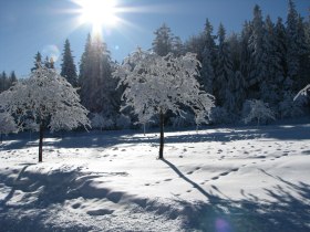 Naturpark Hohe Wand Winterwanderung Tierische Begegnungen, © ©Naturpark Hohe Wand