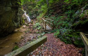 Waldegg - Dürrenbach, © Wiener Alpen, Christian Kremsl