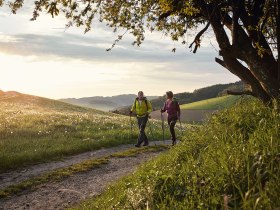 Wandern in der Buckligen Welt, © Wiener Alpen / Florian Lierzer