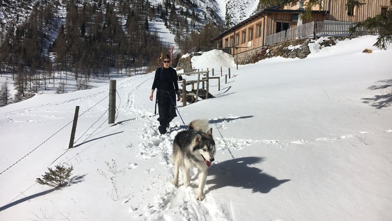 Wanderung mit Husky, © Wild Nasswald