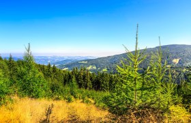 Saurücken Wechsel, © ©Wiener Alpen, Foto: Christian Kremsl