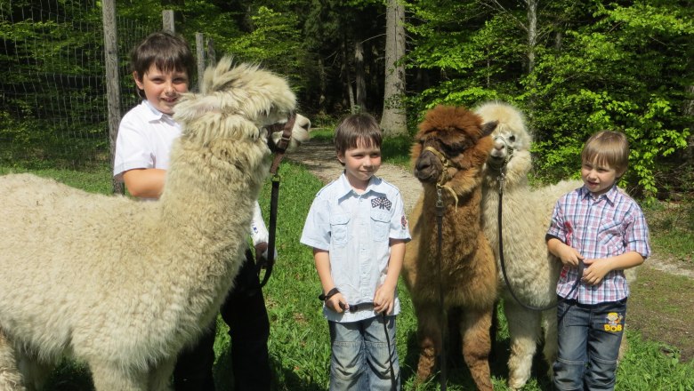 Hiking with Lamas and Alpakas on the Hohe Wand, © Naturpark Hohe Wand