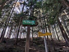 Gute Beschilderung entlang des Weges, © Wiener Alpen in Niederösterreich - Wechsel