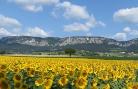 Panorama Hohe Wand (Copyright: Naturpark Hohe Wand ), © Wiener Alpen in Niederösterreich