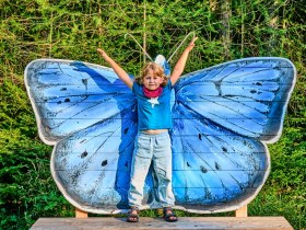 ASAGAN Schmetterling, © Wiener Alpen in Niederösterreich - Schneeberg Hohe Wand