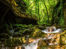 Johannesbachklamm, © Wiener Alpen in Niederösterreich