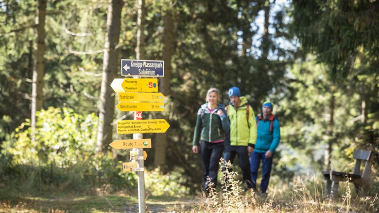 Pešia turistika v regióne Wechsel, © Wiener Alpen/Martin Fülöp