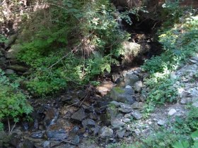 Glasklare Bacherl, © Wiener Alpen in Niederösterreich - Wechsel