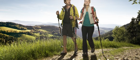 Wandern am Wiener Alpenbogen in der Buckligen Welt , © Wiener Alpen/Lierzer