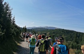 Geführte Wanderungen mit Teamwandern, © Wiener Alpen